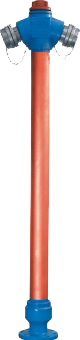 Image module