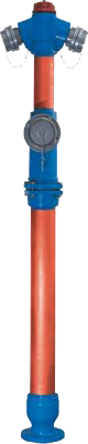 Image module